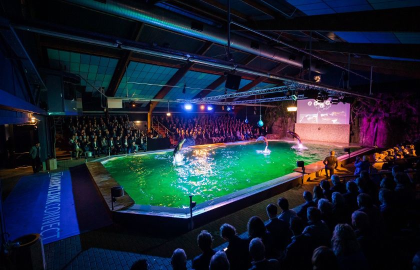 Gouden+Giraffe+2021%3A+Marktlink+Connect%2C+de+ultieme+deal+voor+ondernemers