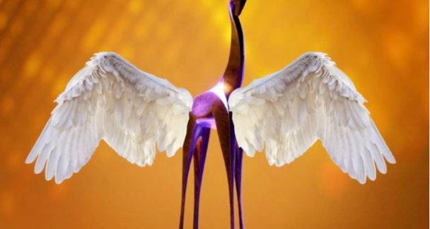Gouden+Giraffe+ticket%3A+de+beste+investering+van+het+hele+jaar