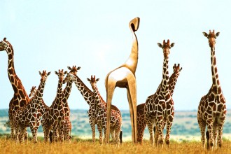 Gouden Giraffe Event Awards 2024: tips voor jouw inschrijving