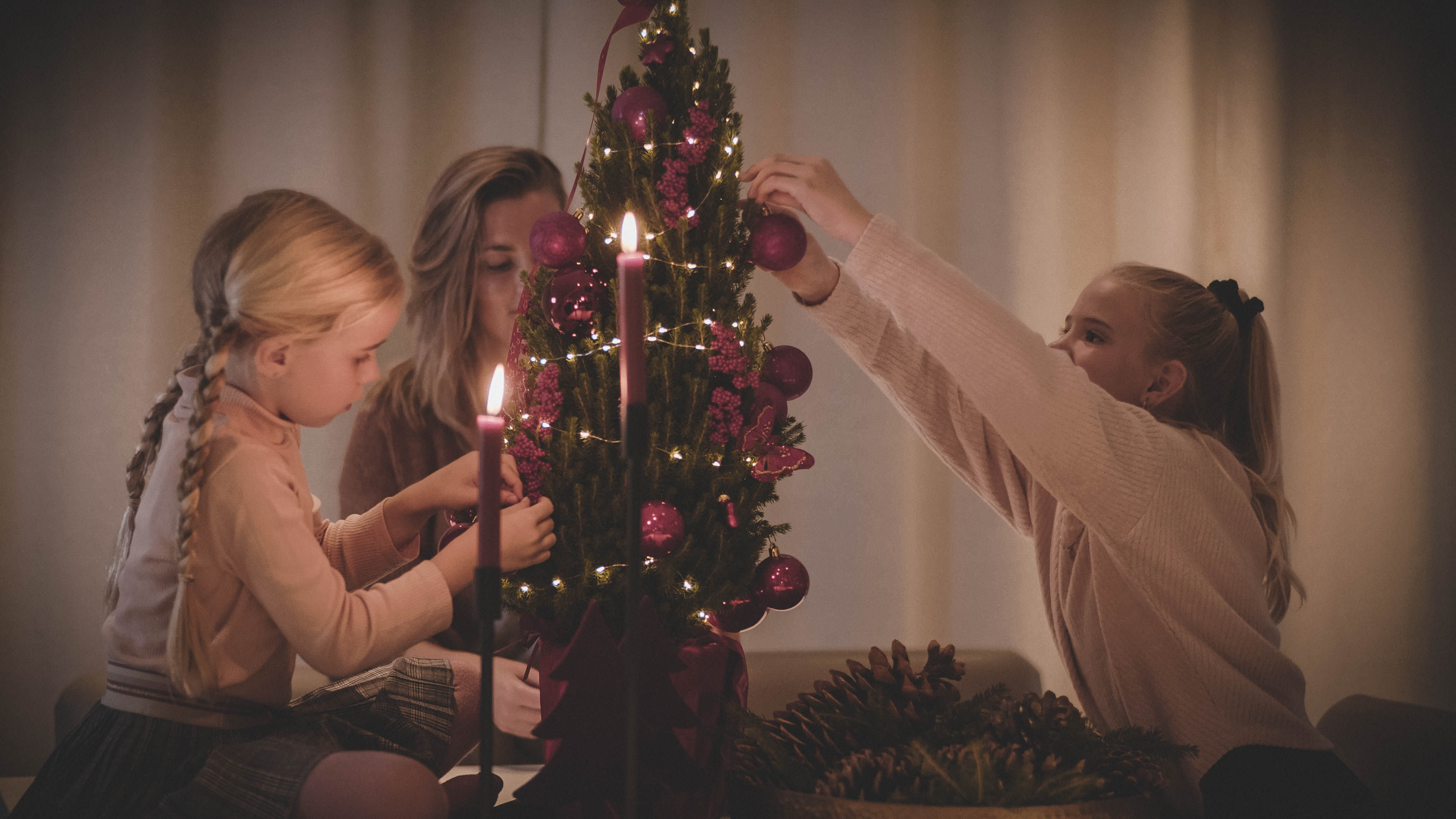 Wolterinck lanceert Spark thuiswerkboom: een boom vol waardering